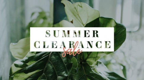 Mainstream Boutique Summer Clearance Sale - Fargo